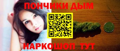 Альфа ПВП Камышлов